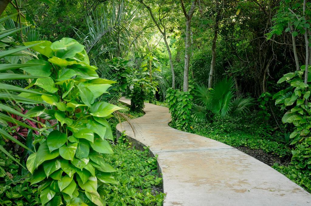 Punta Maroma Amarte Maroma Hotel Eco Boutique Spa מראה חיצוני תמונה