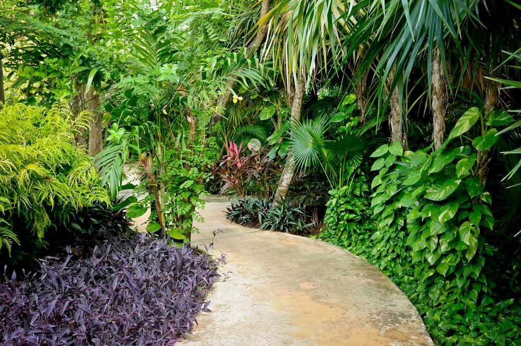 Punta Maroma Amarte Maroma Hotel Eco Boutique Spa מראה חיצוני תמונה
