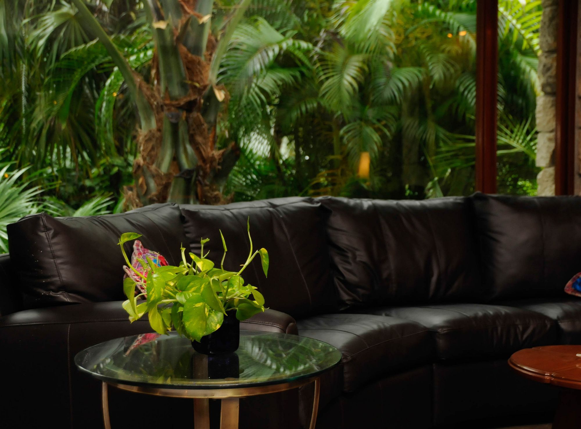Punta Maroma Amarte Maroma Hotel Eco Boutique Spa מראה חיצוני תמונה
